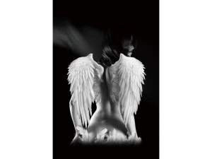 Signal Obraz Angel 80X120