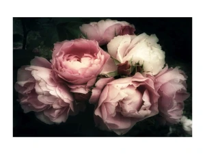 Signal Obraz Flowers I 120X80