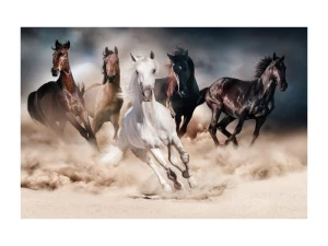 Signal Obraz Horses 120X80