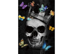 Signal Obraz Skull I 80X120