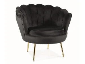 Signal Fotel Camellia 1 Velvet Czarny Bluvel 19/Złoty