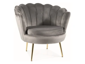 Signal Fotel Camellia 1 Velvet Szary Bluvel 14/Złoty