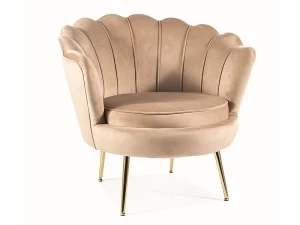 Signal Fotel Camellia 1 Velvet Beżowy Bluvel 28/Złoty