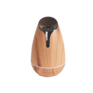Intesi Dyfuzor zapachowy Bruna USB 120 ml        naturalny