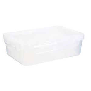 Intesi Lunch box z elastyczną pokrywą            transparentny