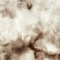 97ef732769863382521ea126cd126497