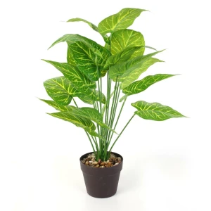 Intesi Sztuczna roślina Alocasia 55cm