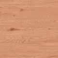 92654975a081590518a6c247c4a5ae48