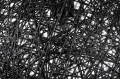 746502bc15889771e52ede5a3b8c088d