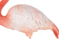 a89f494185e3f83d28ba125ac26afb05